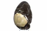 Septarian Dragon Egg Geode - Sparkly Black Crystals #383846-1